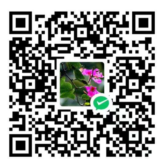 qrcode weixin